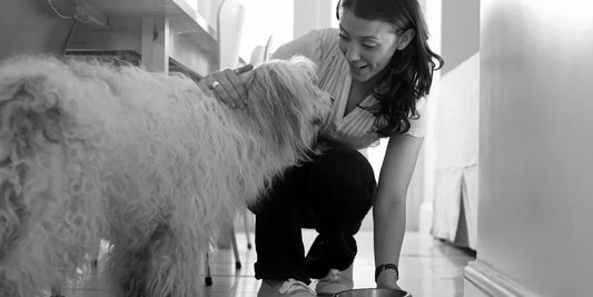 Ketogenic Diet for Dogs
