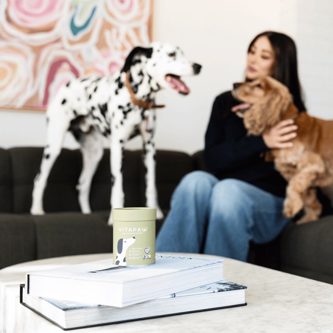 Organic Dog Probiotics